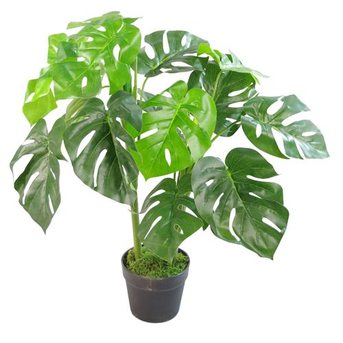 Realistic Artificial Monstera Plant - 80cm | Lifelike Indoor Décor - plants - express.com
