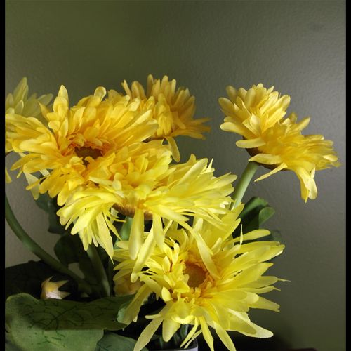 Realistic Potted Artificial Daisy - Perfect for Effortless Home Décor - plants - express.com