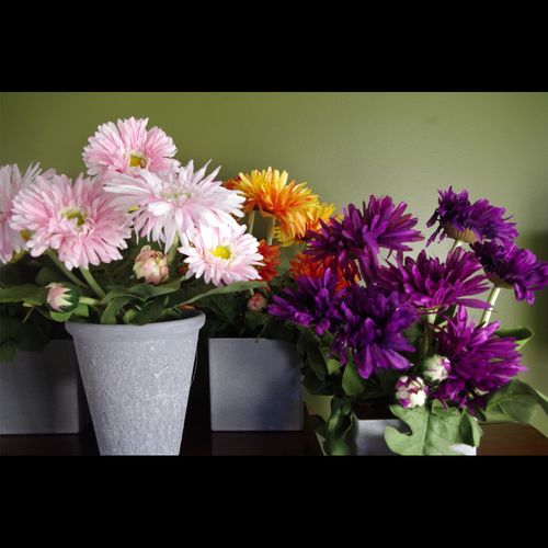 Realistic Potted Artificial Daisy - Perfect for Effortless Home Décor - plants - express.com