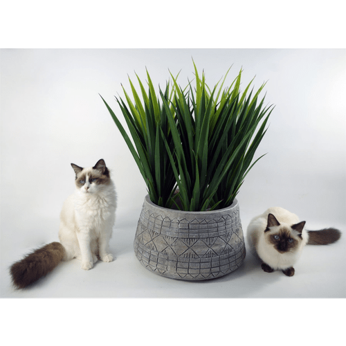 Rustic Elegance: 22cm x 37cm Grey Gliese Embossed Fibreglass Planter - plants - express.com