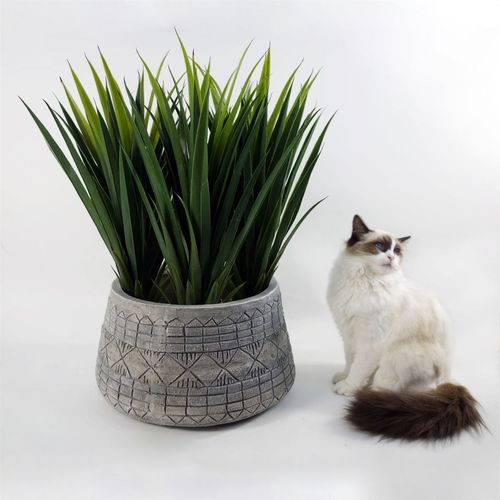 Rustic Elegance: 22cm x 37cm Grey Gliese Embossed Fibreglass Planter - plants - express.com