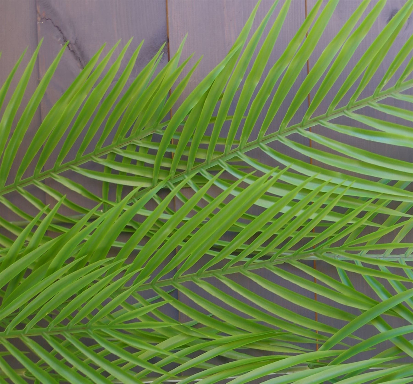 Set of 12 Extra Large 120cm Realistic Artificial Hanging Palm Plants - plants - express.com