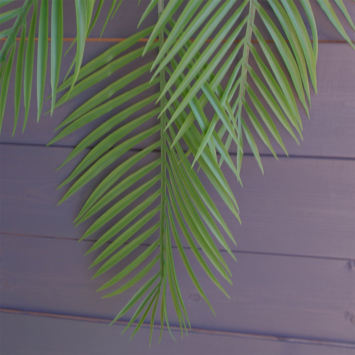 Set of 12 Extra Large 120cm Realistic Artificial Hanging Palm Plants - plants - express.com
