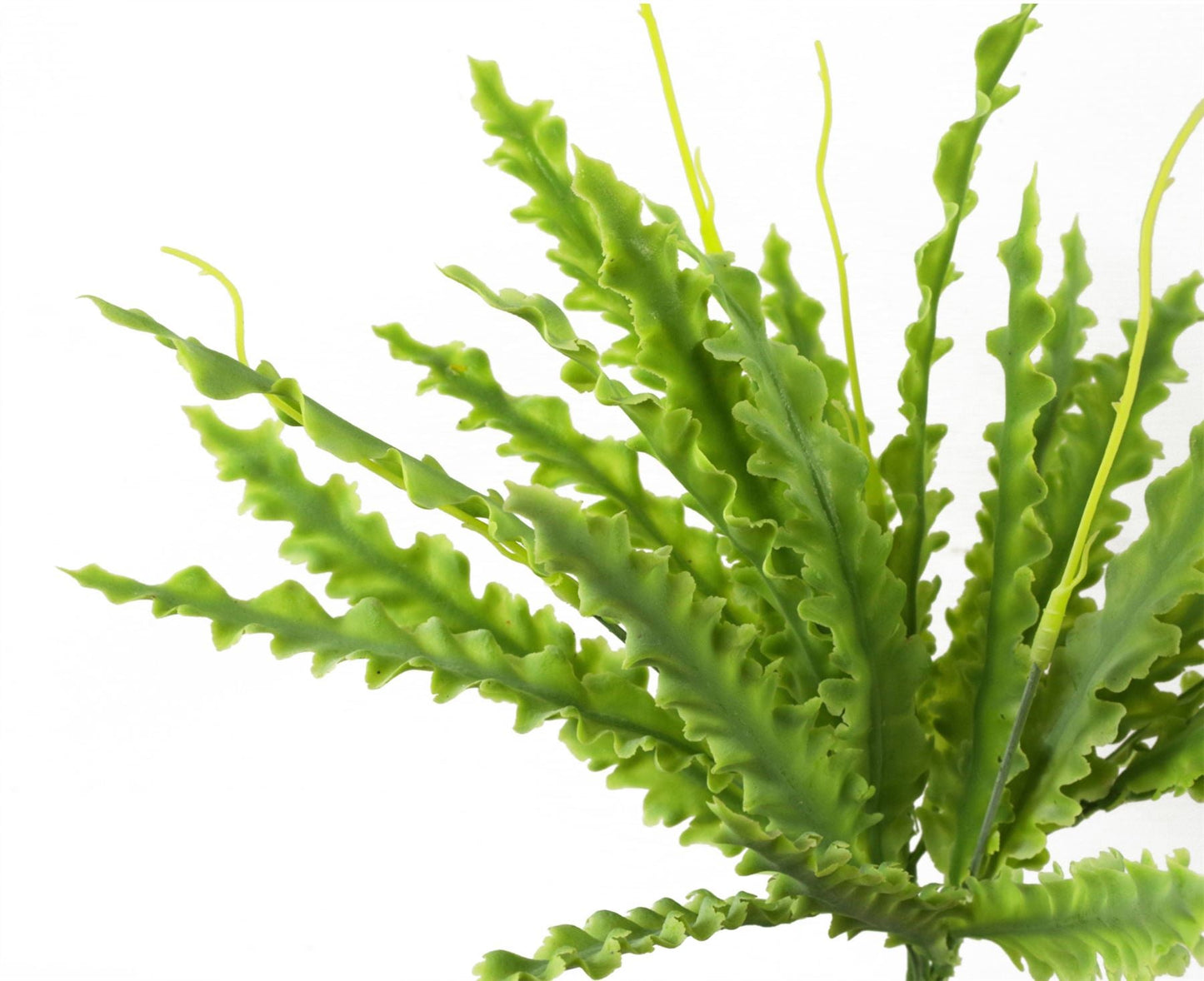 Set of 12 Realistic 40cm Artificial Crocodile Ferns - No Maintenance Required! - plants - express.com