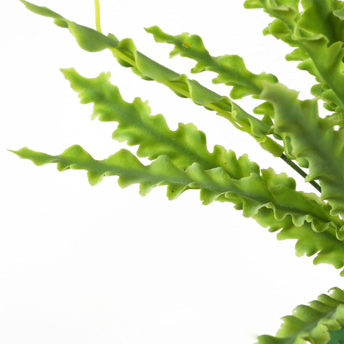Set of 12 Realistic 40cm Artificial Crocodile Ferns - No Maintenance Required! - plants - express.com