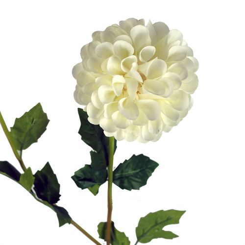 Set of 6 Cream Artificial Dahlia PomPom Stems for Stunning Floral Arrangements - plants - express.com