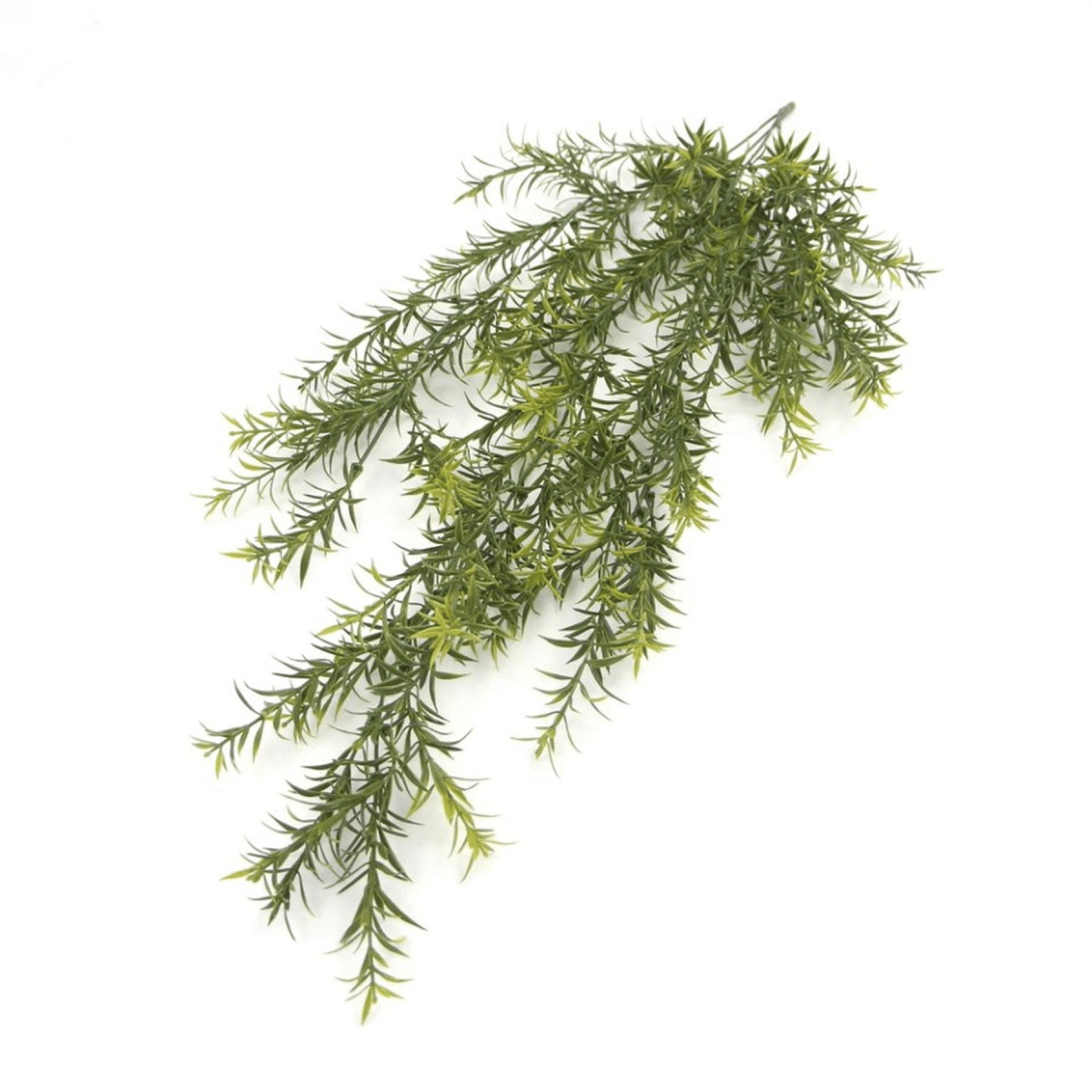 Set of 6 Fire - Resistant Hanging Spider Ferns—Lifelike & UV Protected! - plants - express.com