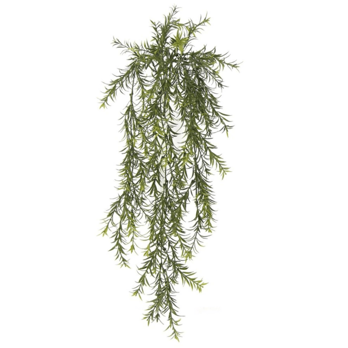 Set of 6 Fire - Resistant Hanging Spider Ferns—Lifelike & UV Protected! - plants - express.com
