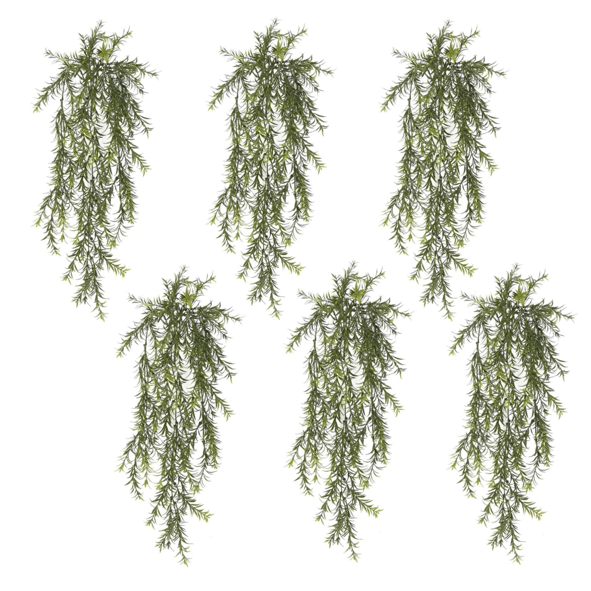 Set of 6 Fire - Resistant Hanging Spider Ferns—Lifelike & UV Protected! - plants - express.com