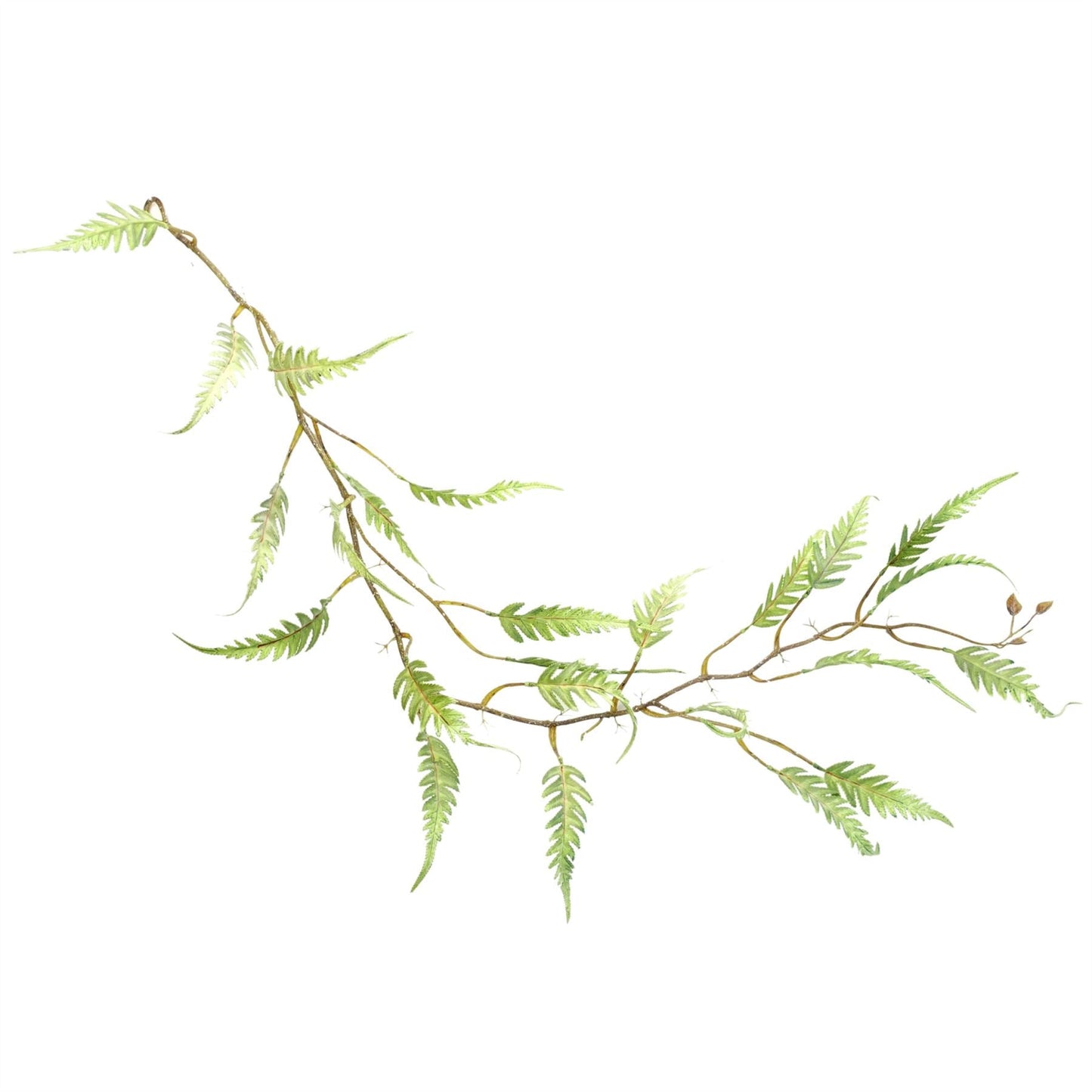Set of 6 Lush 125cm Artificial Ferns - Stunning Trailing Greenery for Any Home - plants - express.com