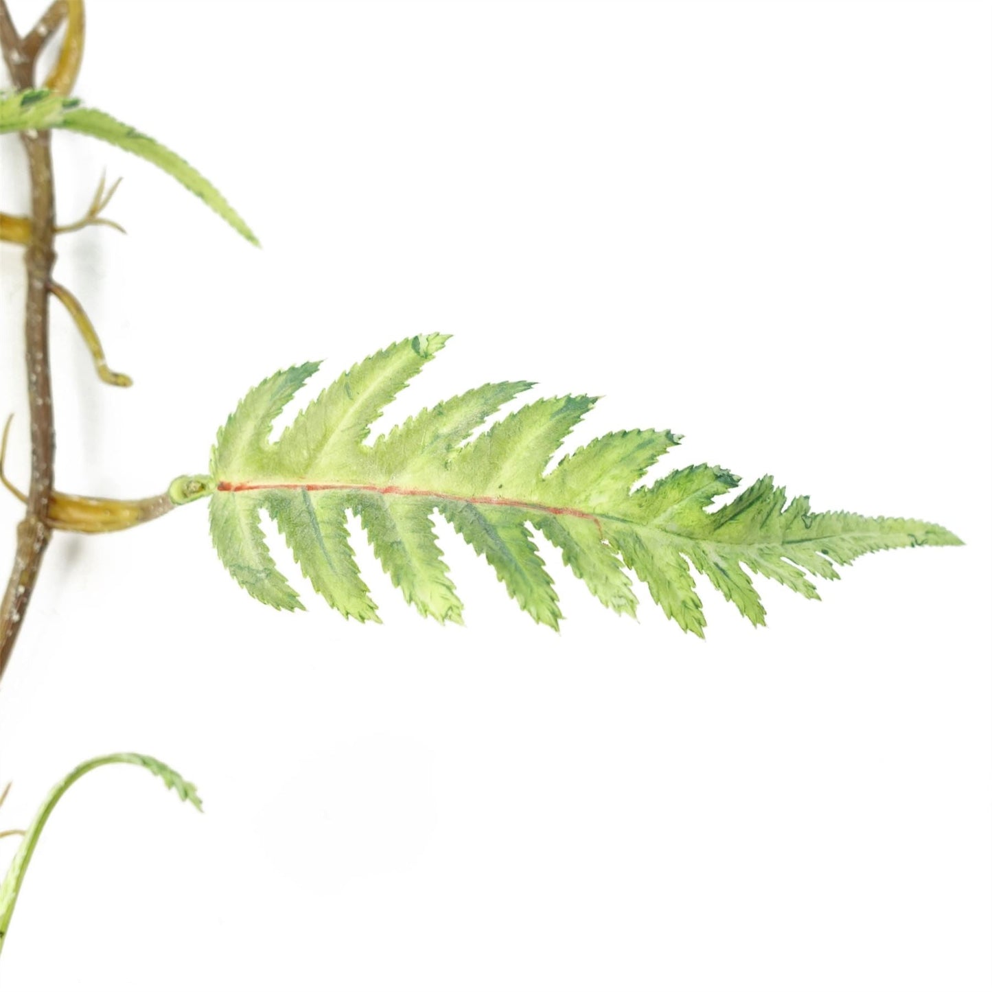 Set of 6 Lush 125cm Artificial Ferns - Stunning Trailing Greenery for Any Home - plants - express.com