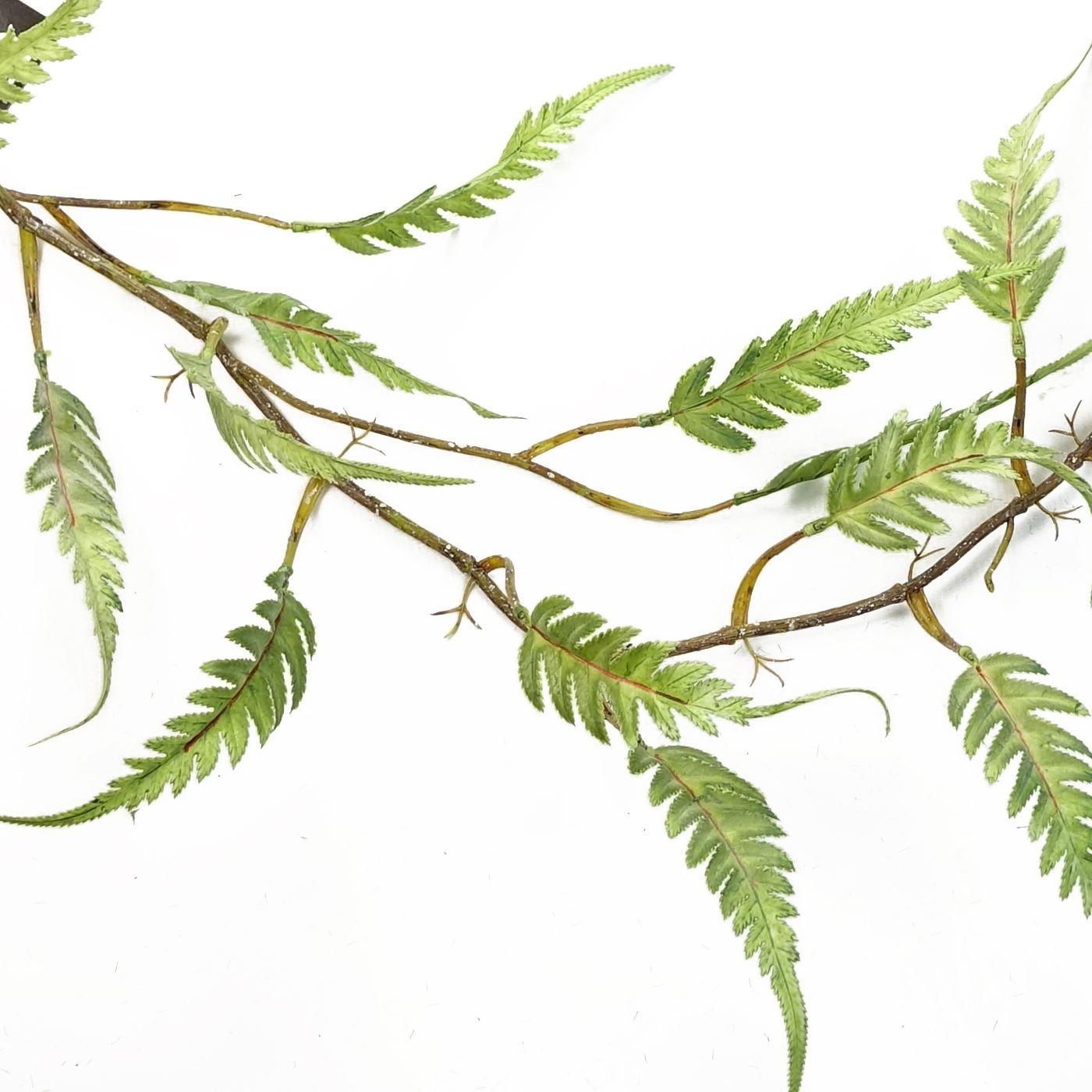 Set of 6 Lush 125cm Artificial Ferns - Stunning Trailing Greenery for Any Home - plants - express.com