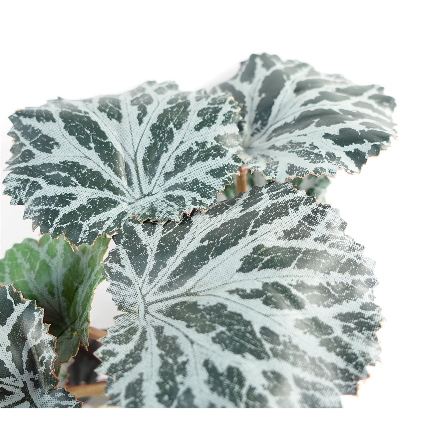 Set of 6 Lush 50cm Artificial Trailing Begonia Plants - Perfect for Stunning Displays! - plants - express.com