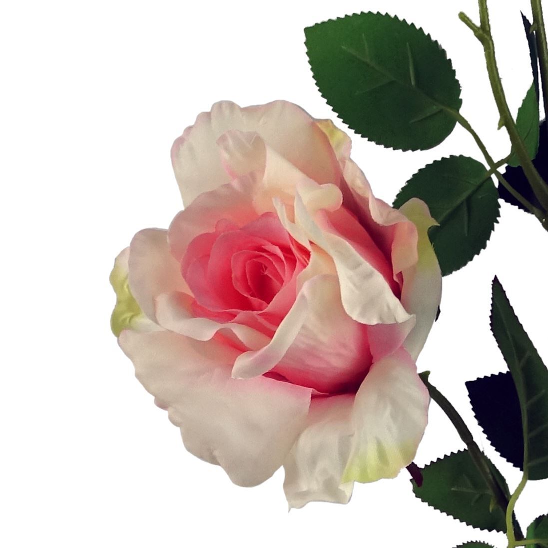 Set of 6 Luxurious Pink Silk Rose Stems - Perfect for Any Floral Arrangement - plants - express.com