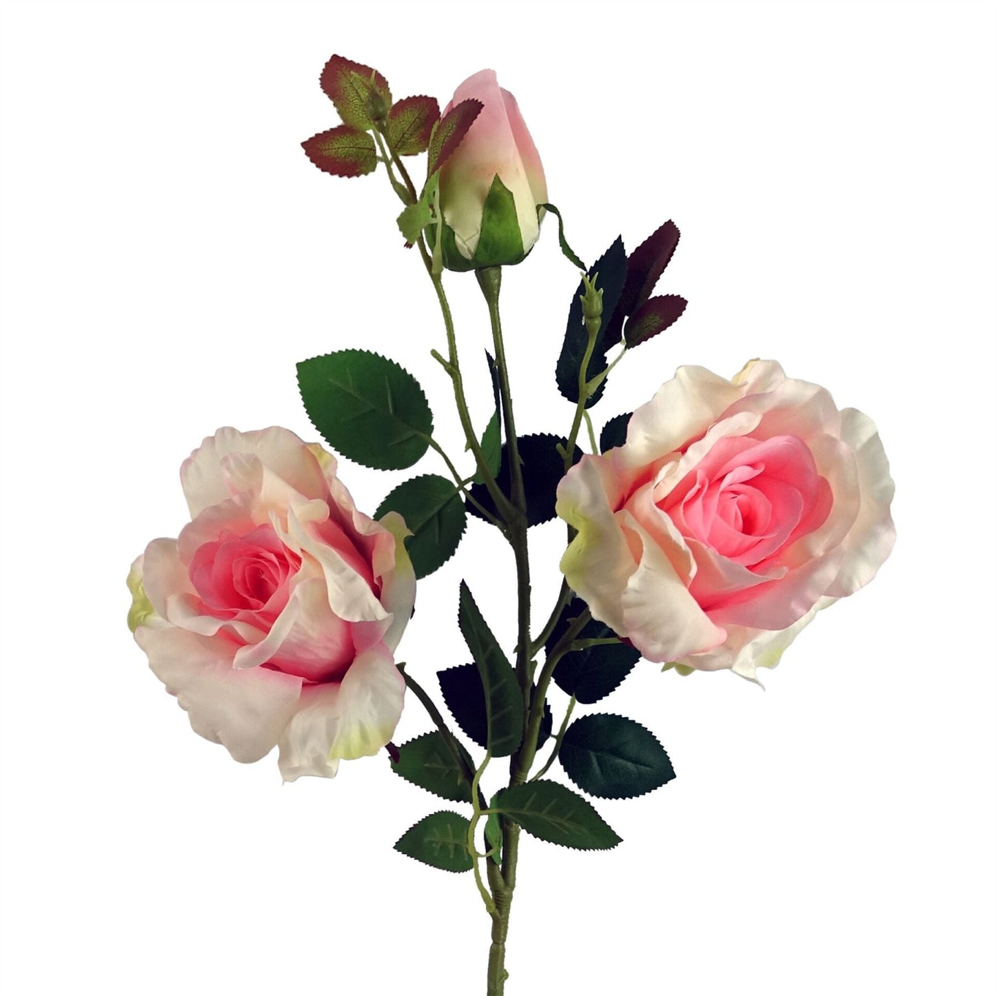 Set of 6 Luxurious Pink Silk Rose Stems - Perfect for Any Floral Arrangement - plants - express.com