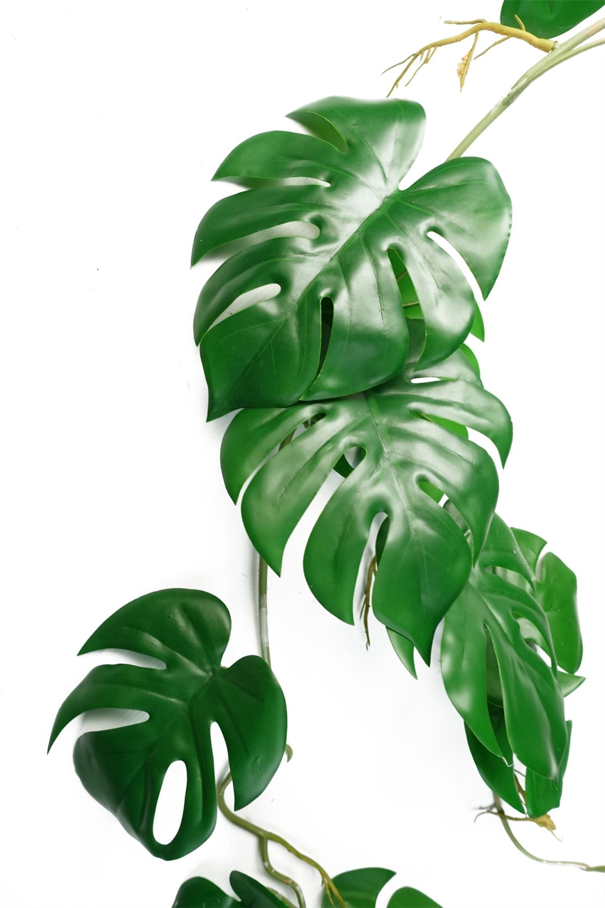 Set of 6 Realistic 100cm Artificial Monstera Hanging Plants for Lush Décor - plants - express.com