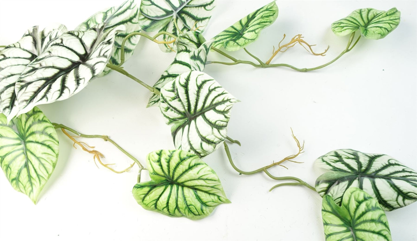 Set of 6 Realistic 120cm Artificial Alocasia Dragon Scale Trailing Plants - plants - express.com