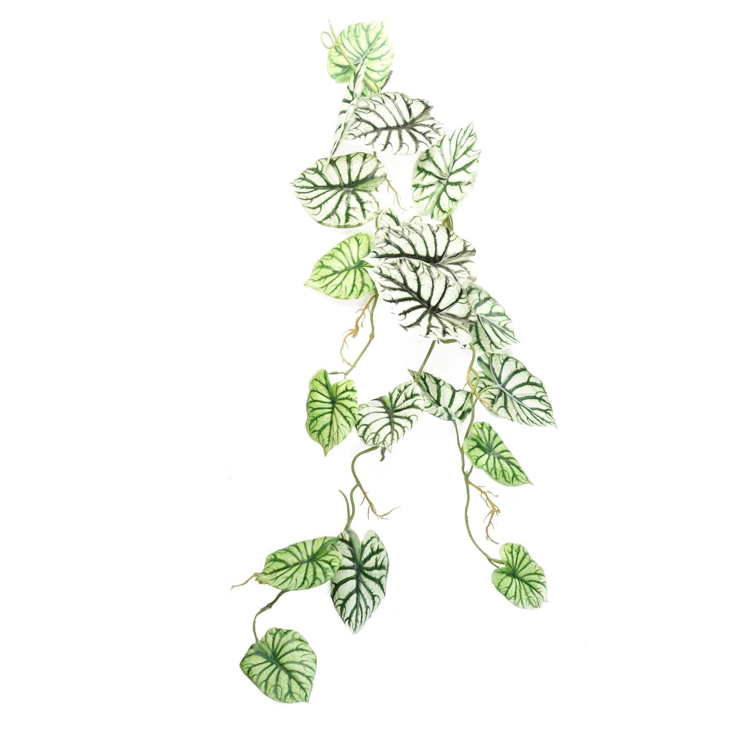 Set of 6 Realistic 120cm Artificial Alocasia Dragon Scale Trailing Plants - plants - express.com