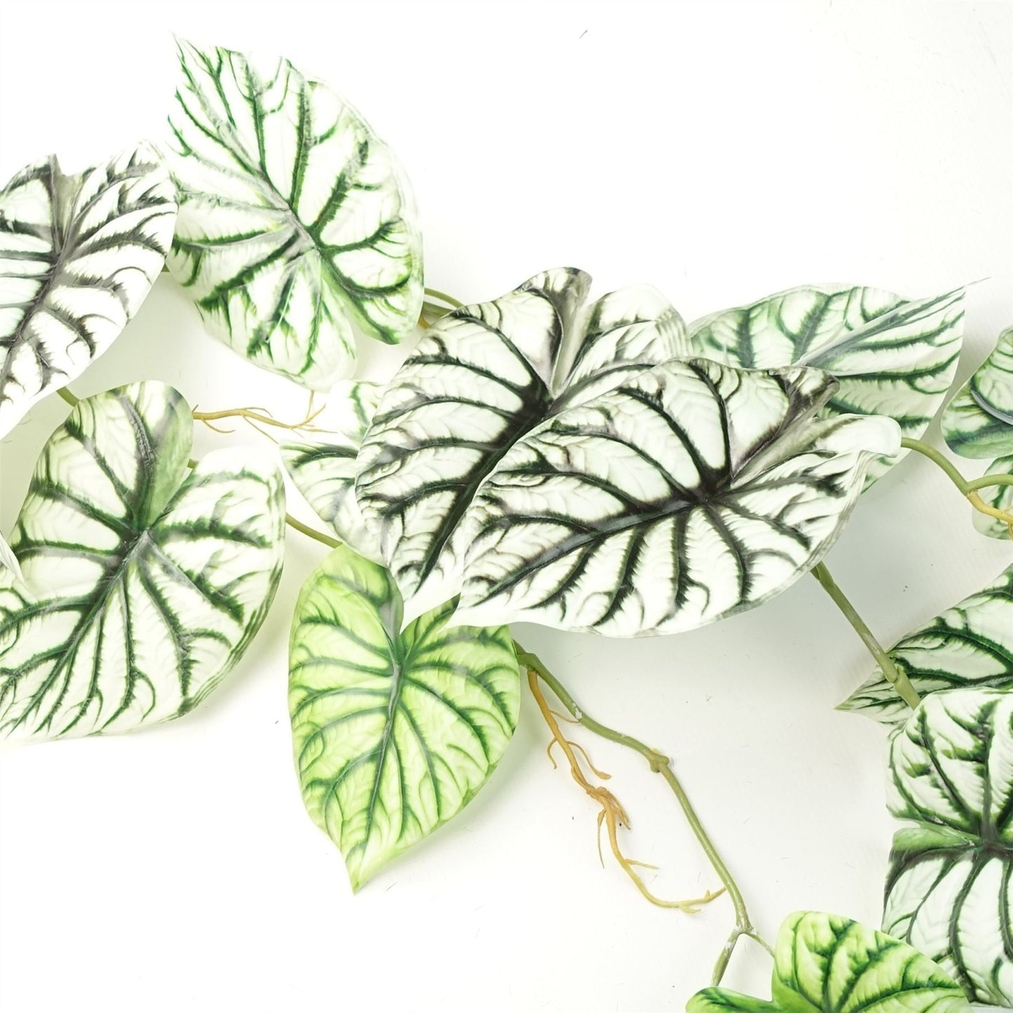 Set of 6 Realistic 120cm Artificial Alocasia Dragon Scale Trailing Plants - plants - express.com