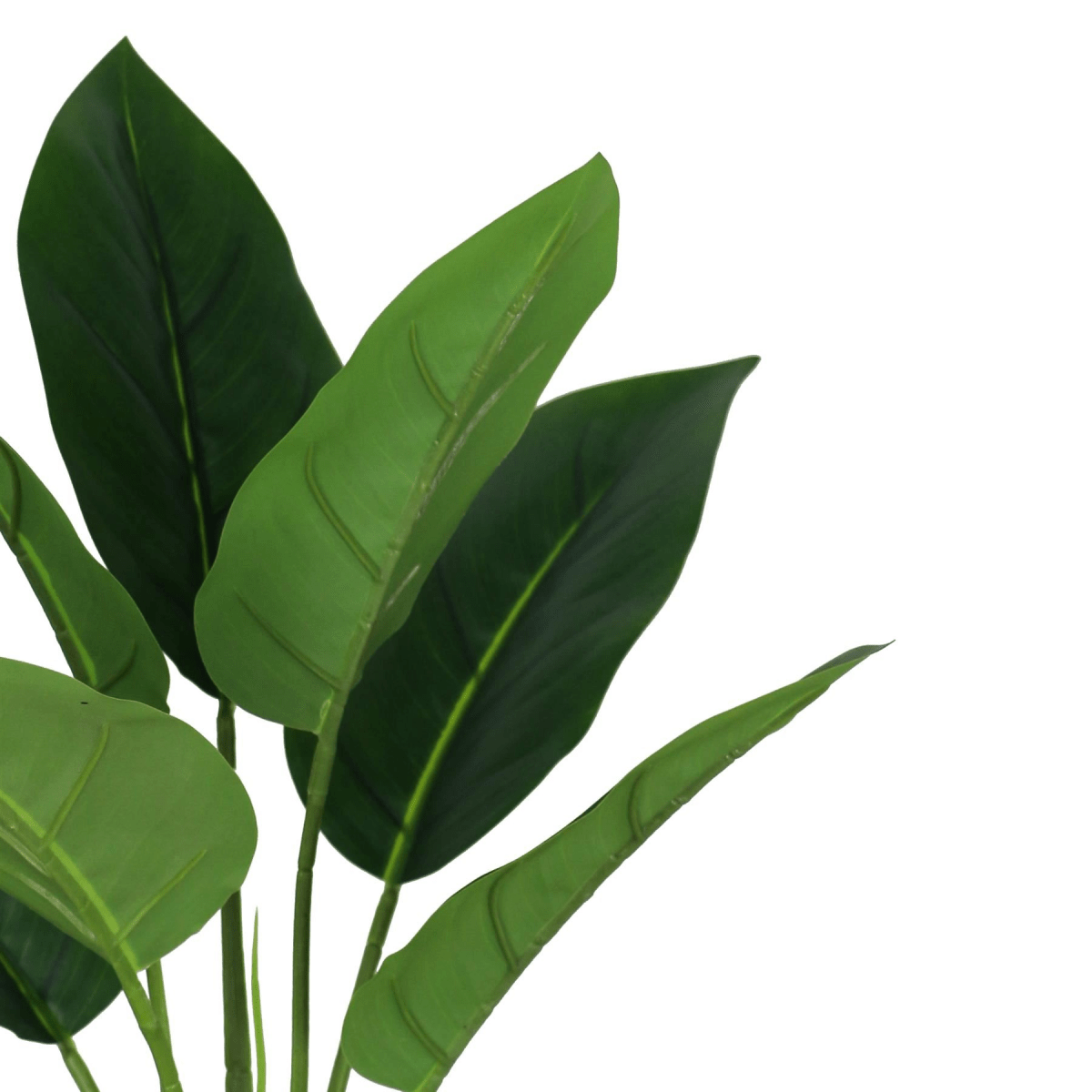 Set of 6 Realistic 45cm Artificial Aureum Plants - Hassle - Free Greenery - plants - express.com