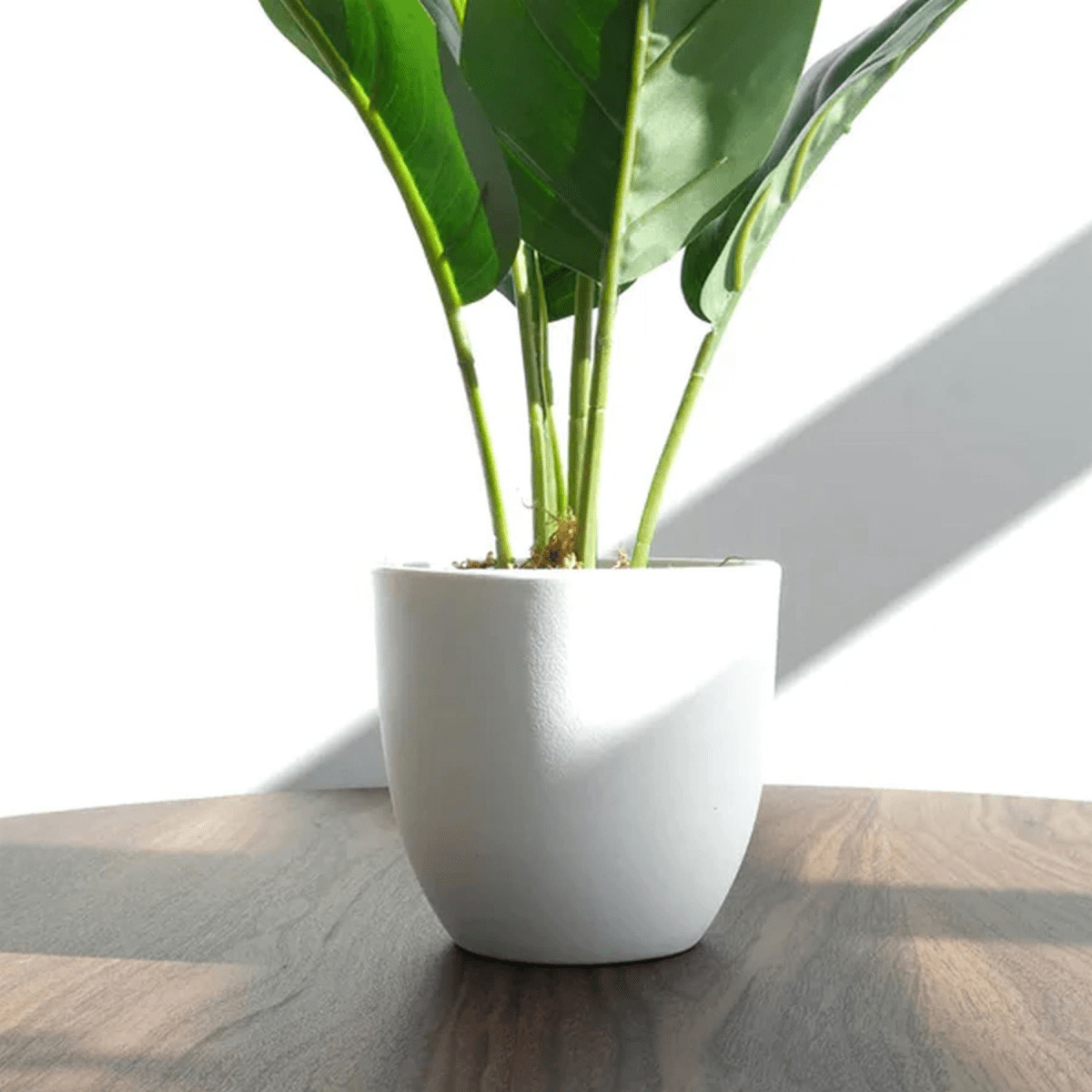 Set of 6 Realistic 45cm Artificial Aureum Plants - Hassle - Free Greenery - plants - express.com