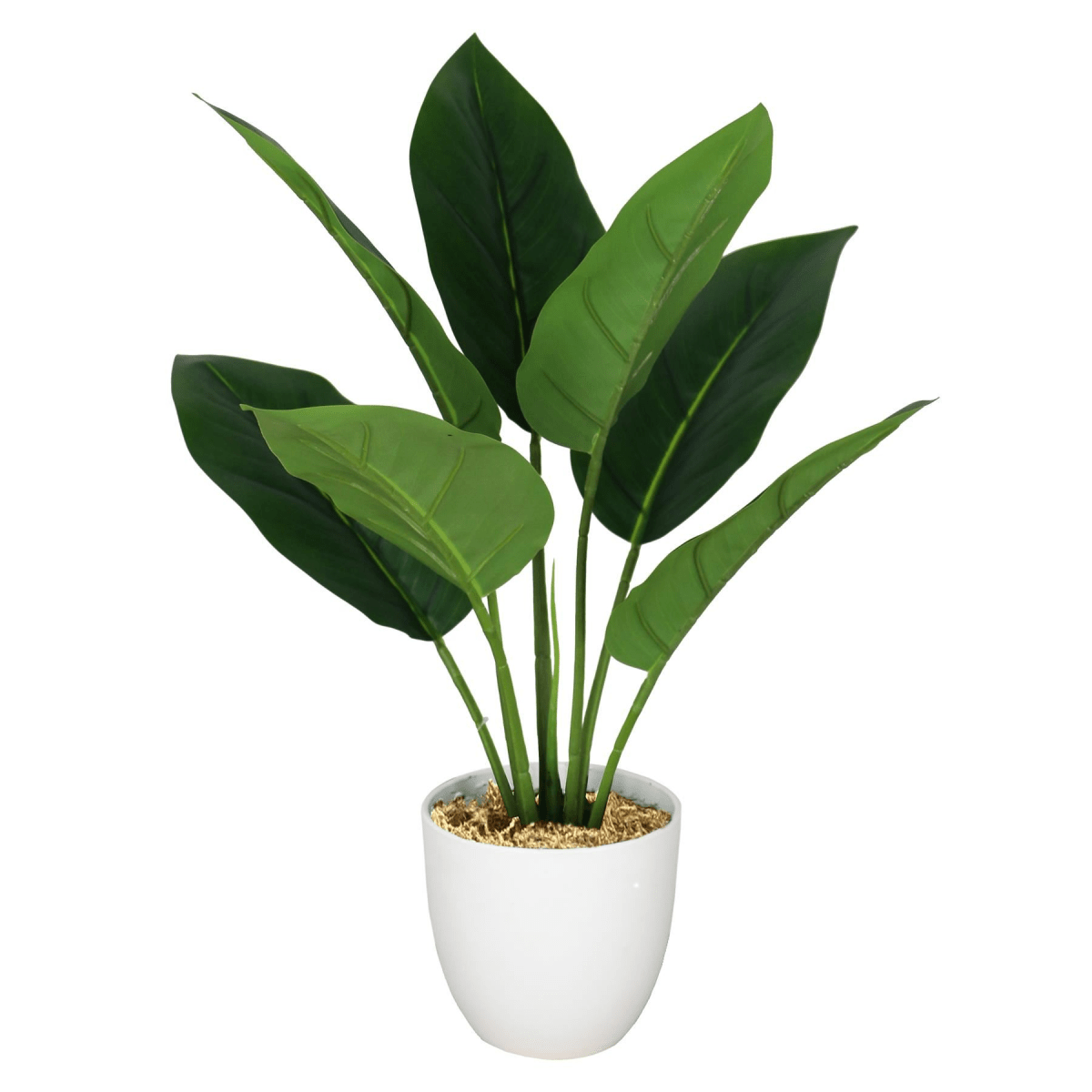 Set of 6 Realistic 45cm Artificial Aureum Plants - Hassle - Free Greenery - plants - express.com