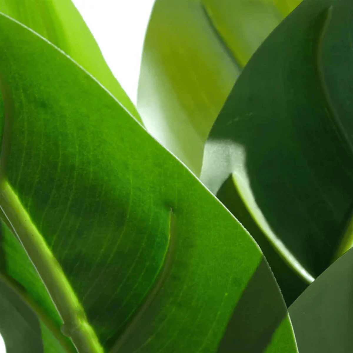 Set of 6 Realistic 45cm Artificial Aureum Plants - Hassle - Free Greenery - plants - express.com