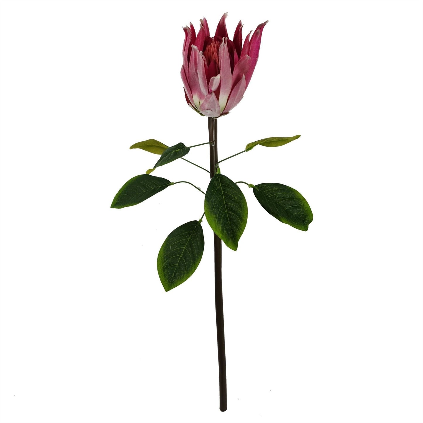 Set of 6 Realistic 65cm Pink Protea Sugarbush Flower Stems for Elegant Decor - plants - express.com