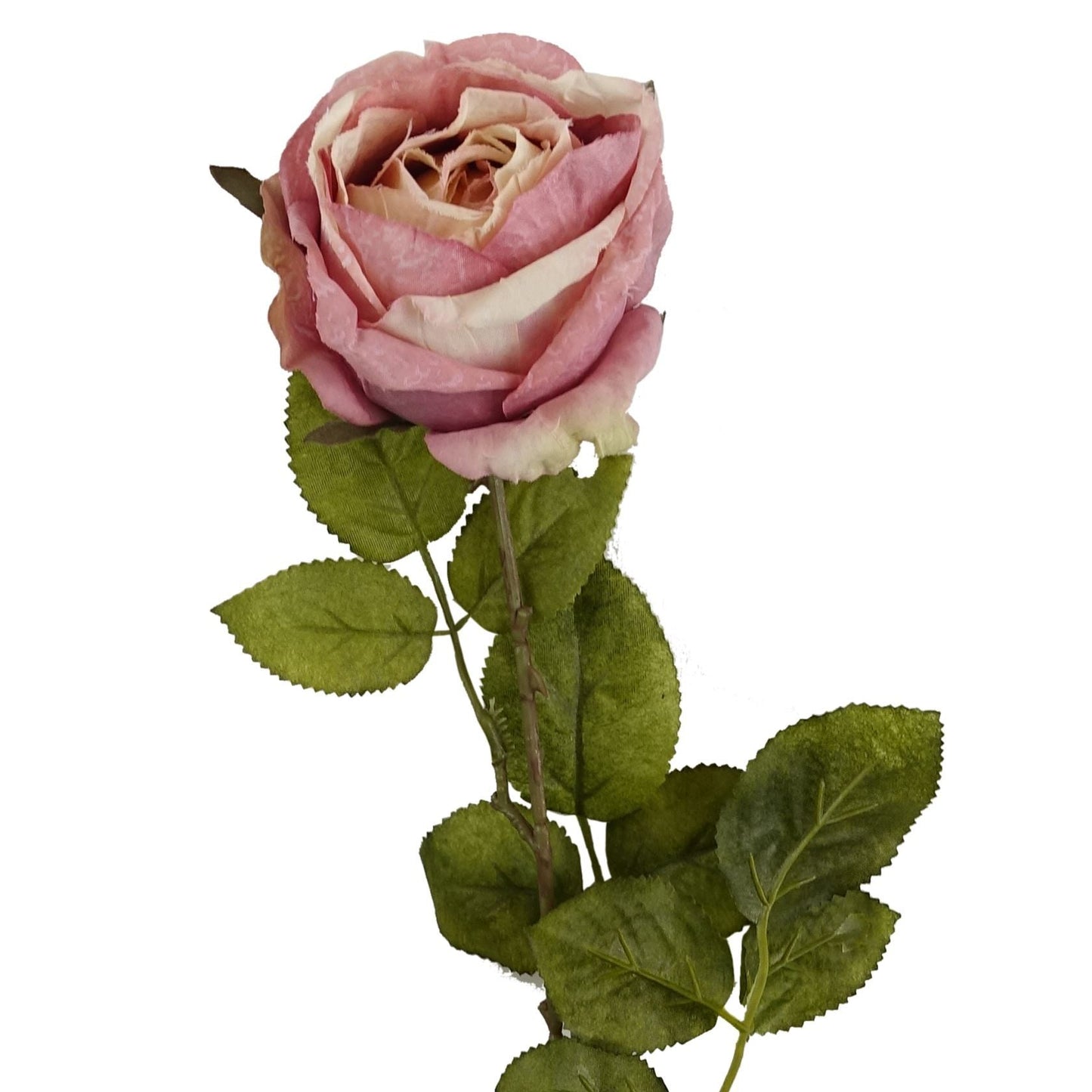 Set of 6 Realistic 70cm Light Pink Silk Roses - Perfect for Elegant Arrangements - plants - express.com