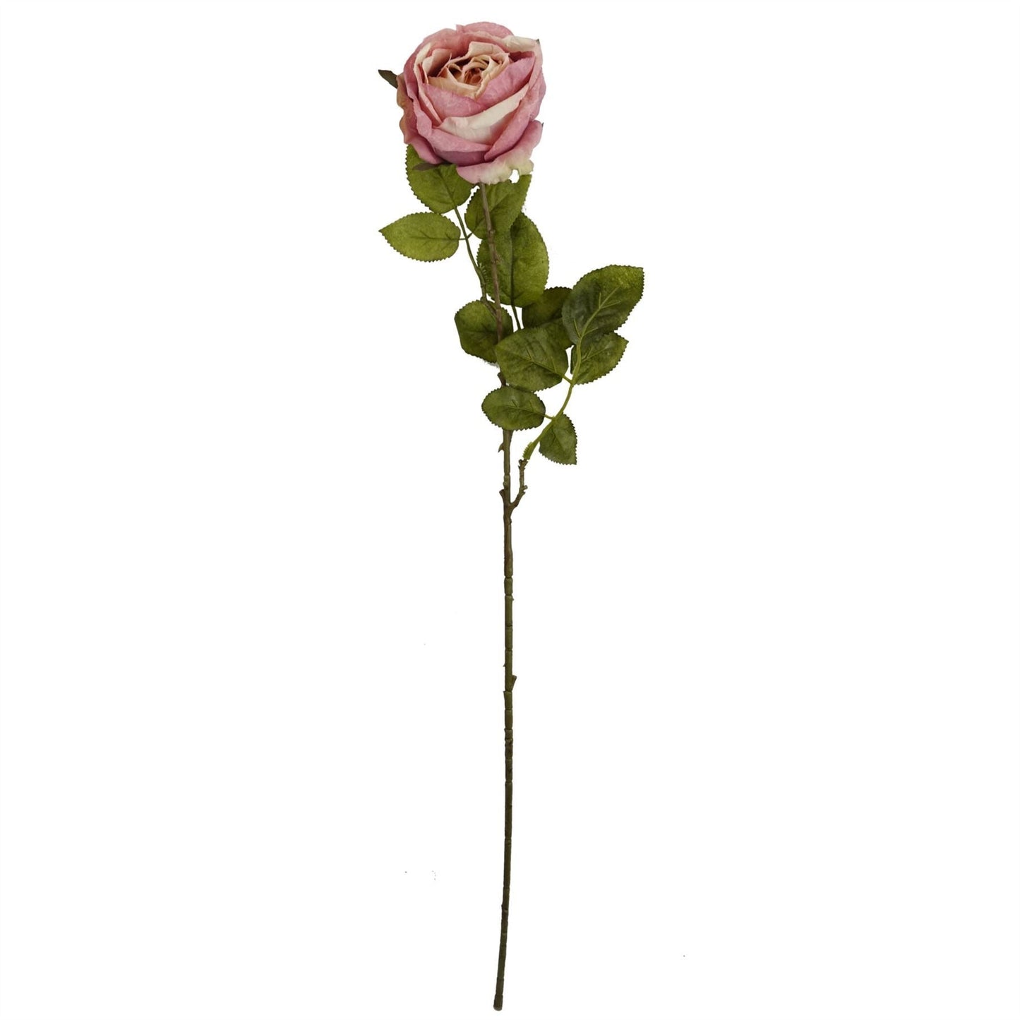 Set of 6 Realistic 70cm Light Pink Silk Roses - Perfect for Elegant Arrangements - plants - express.com