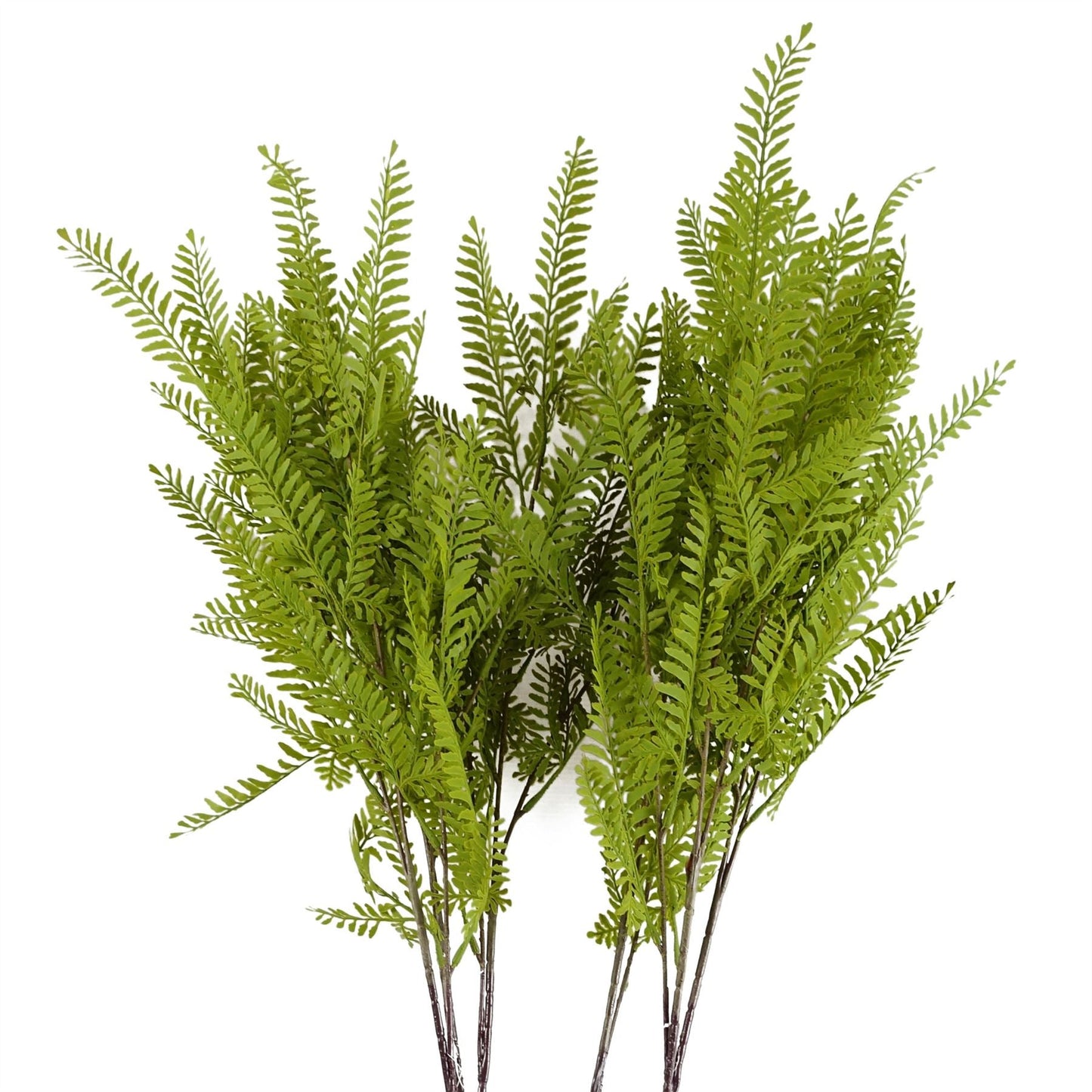 Set of 6 Realistic 95cm Artificial Himalayan Maidenhair Fern Stems - plants - express.com