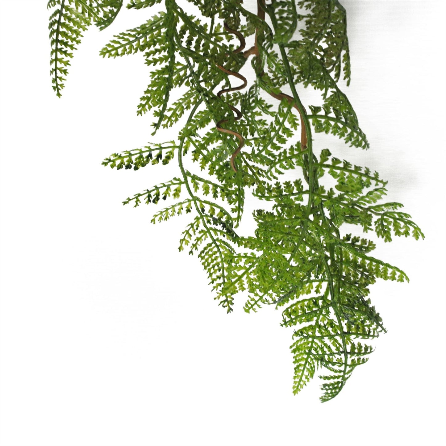 Set of 6 Stunning 100cm Artificial Hanging Maidenhair Ferns in Dark Green - plants - express.com