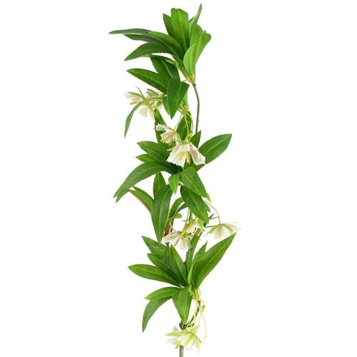 Set of 6 Stunning 90cm Artificial Hainan Elaeocarpus Stems for Elegant Décor - plants - express.com