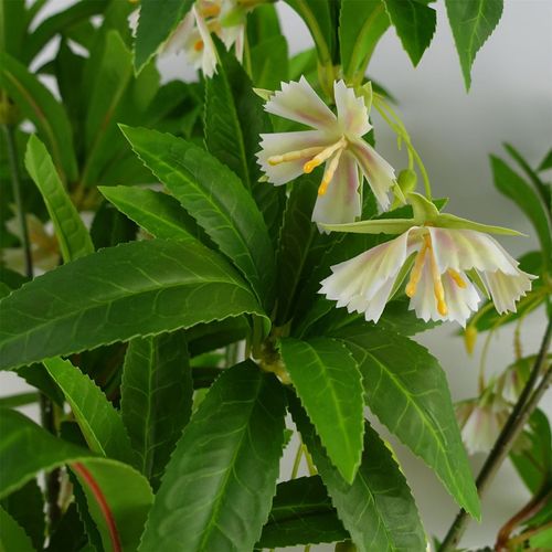 Set of 6 Stunning 90cm Artificial Hainan Elaeocarpus Stems for Elegant Décor - plants - express.com