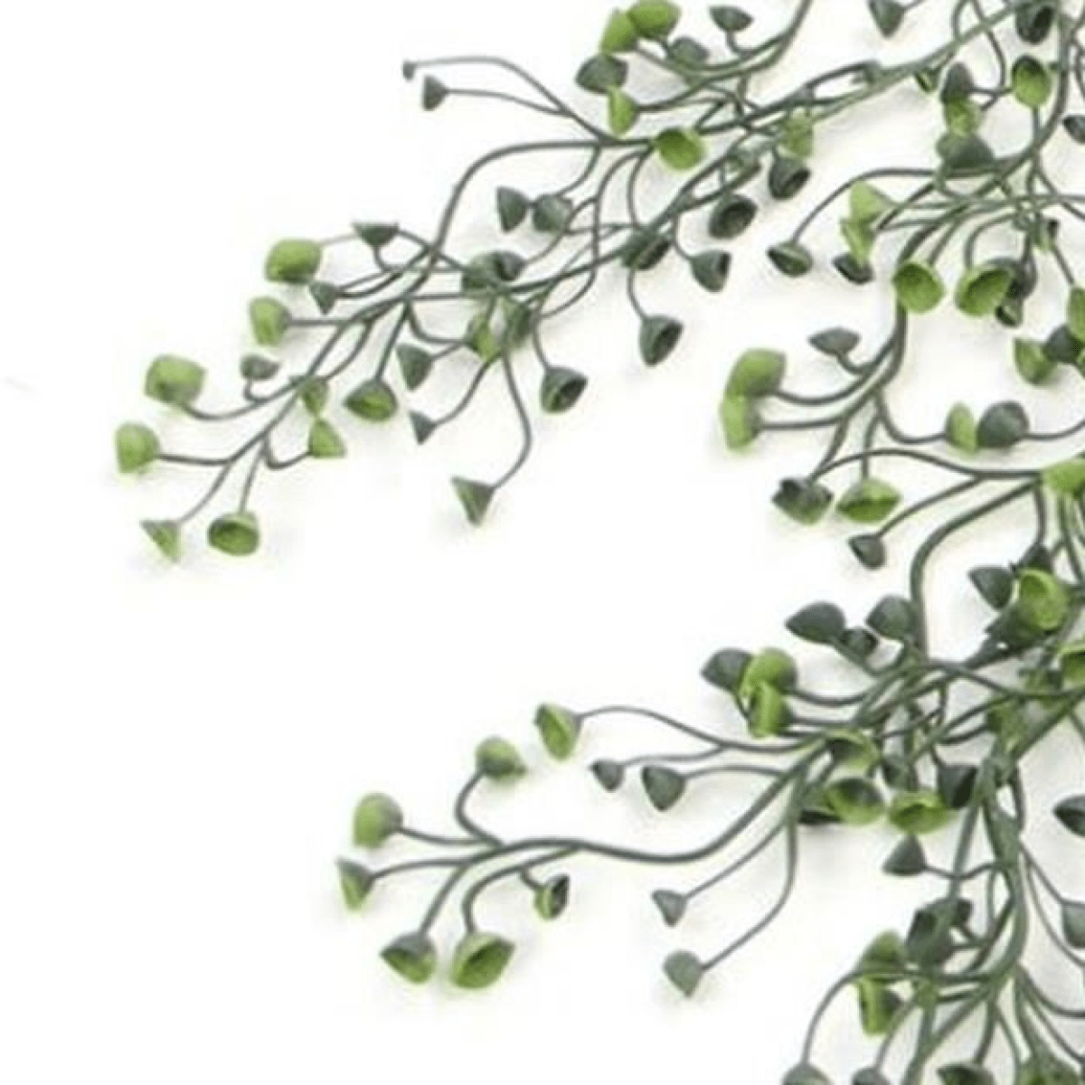 Set of 6 UV & Fire Resistant 75cm Hanging Artificial String Pearl Plants - plants - express.com