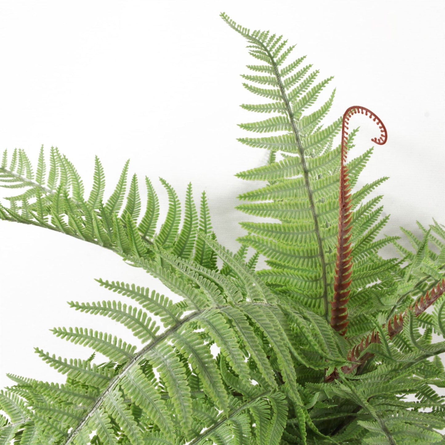 Six 60cm Lush Light Green Artificial Dixie Wood Ferns - No Maintenance Needed! - plants - express.com
