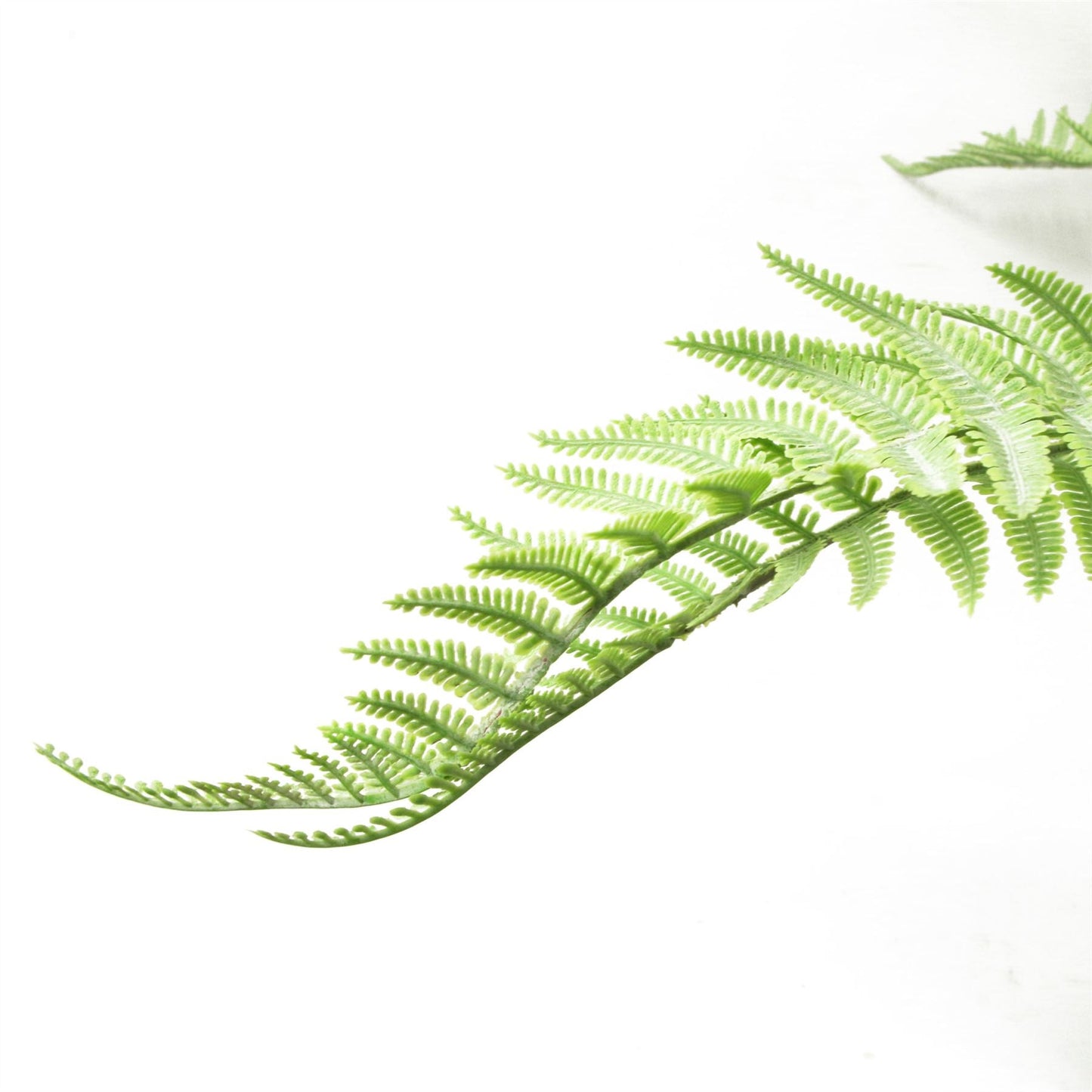 Six 60cm Lush Light Green Artificial Dixie Wood Ferns - No Maintenance Needed! - plants - express.com