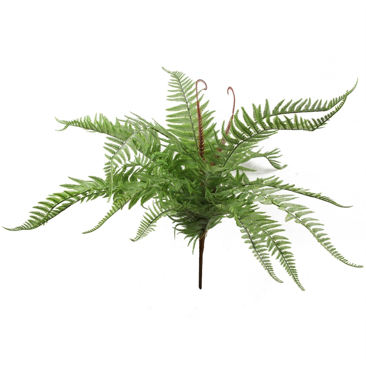 Six 60cm Lush Light Green Artificial Dixie Wood Ferns - No Maintenance Needed! - plants - express.com