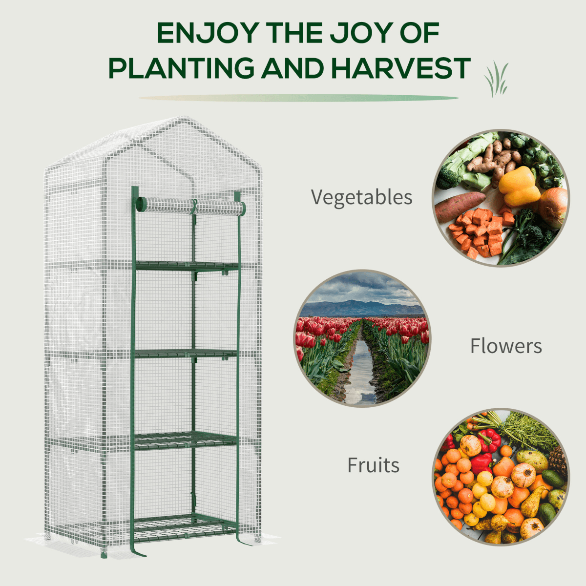 Space - Saver Mini Greenhouse with Four - Tier Design for Passionate Gardeners - plants - express.com
