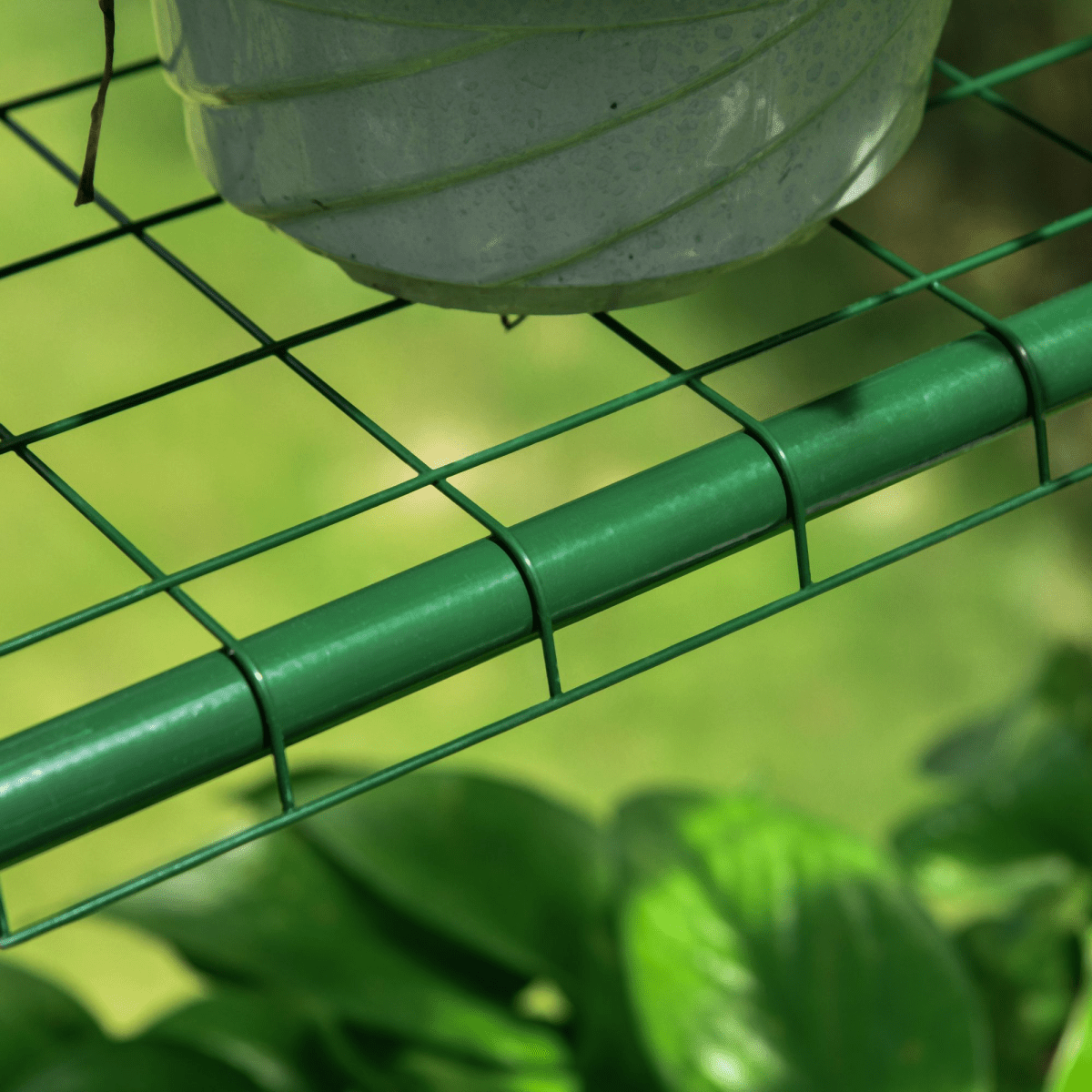 Steel Frame Greenhouse Steel Frame, 2 Shelves - plants - express.com