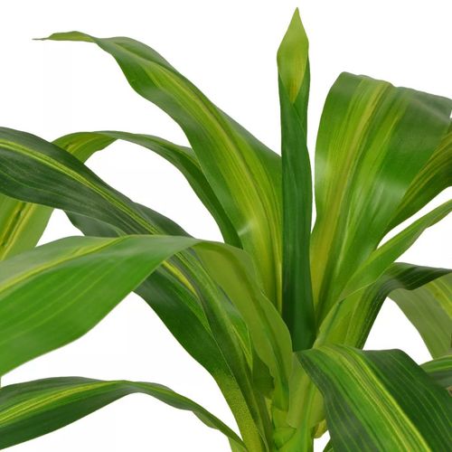 Stunning 100 cm Artificial Dracaena Plant in Elegant Pot - Lifelike Greenery! - plants - express.com
