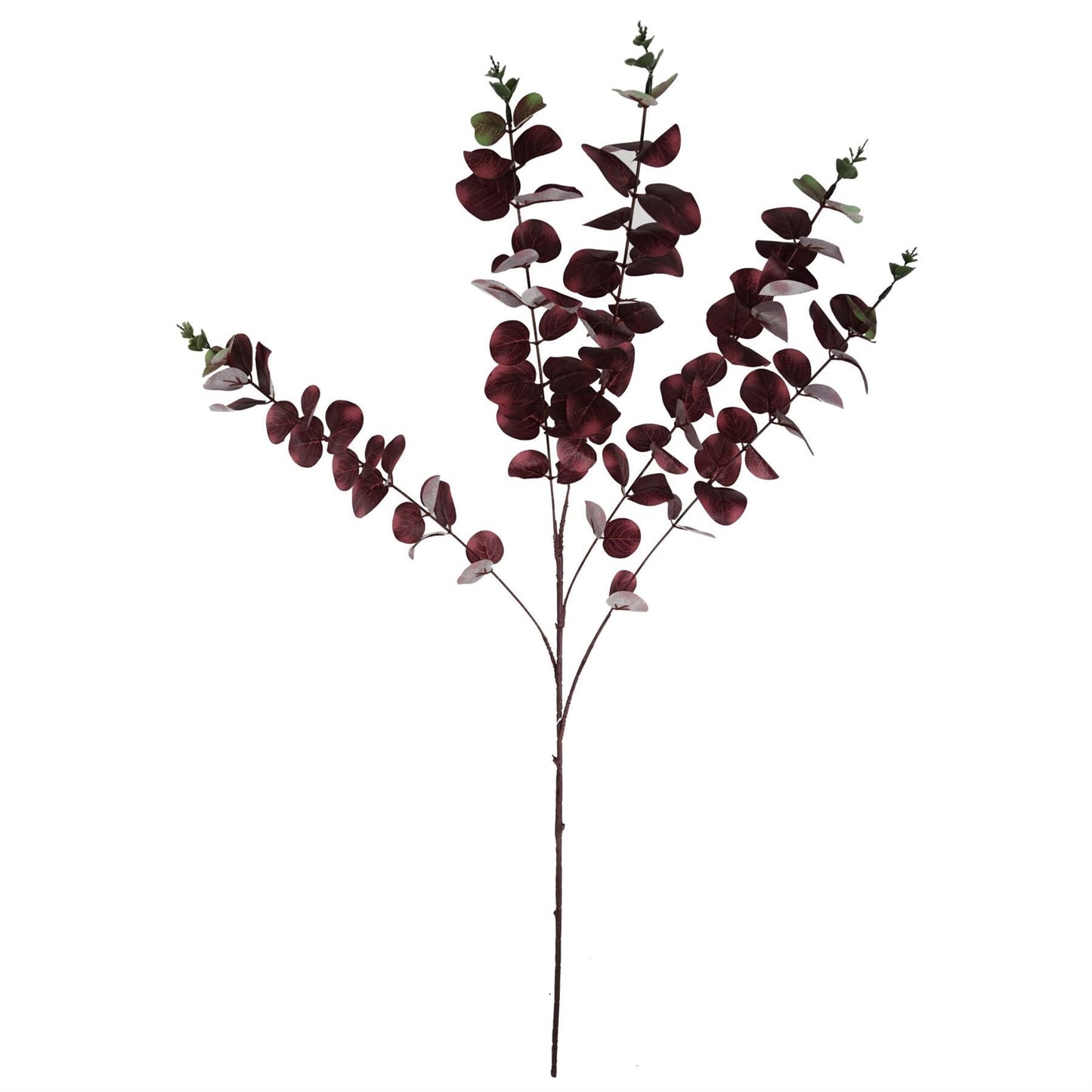 Stunning 100cm Burgundy Eucalyptus Stem - Perfect for Chic Floral Arrangements - plants - express.com