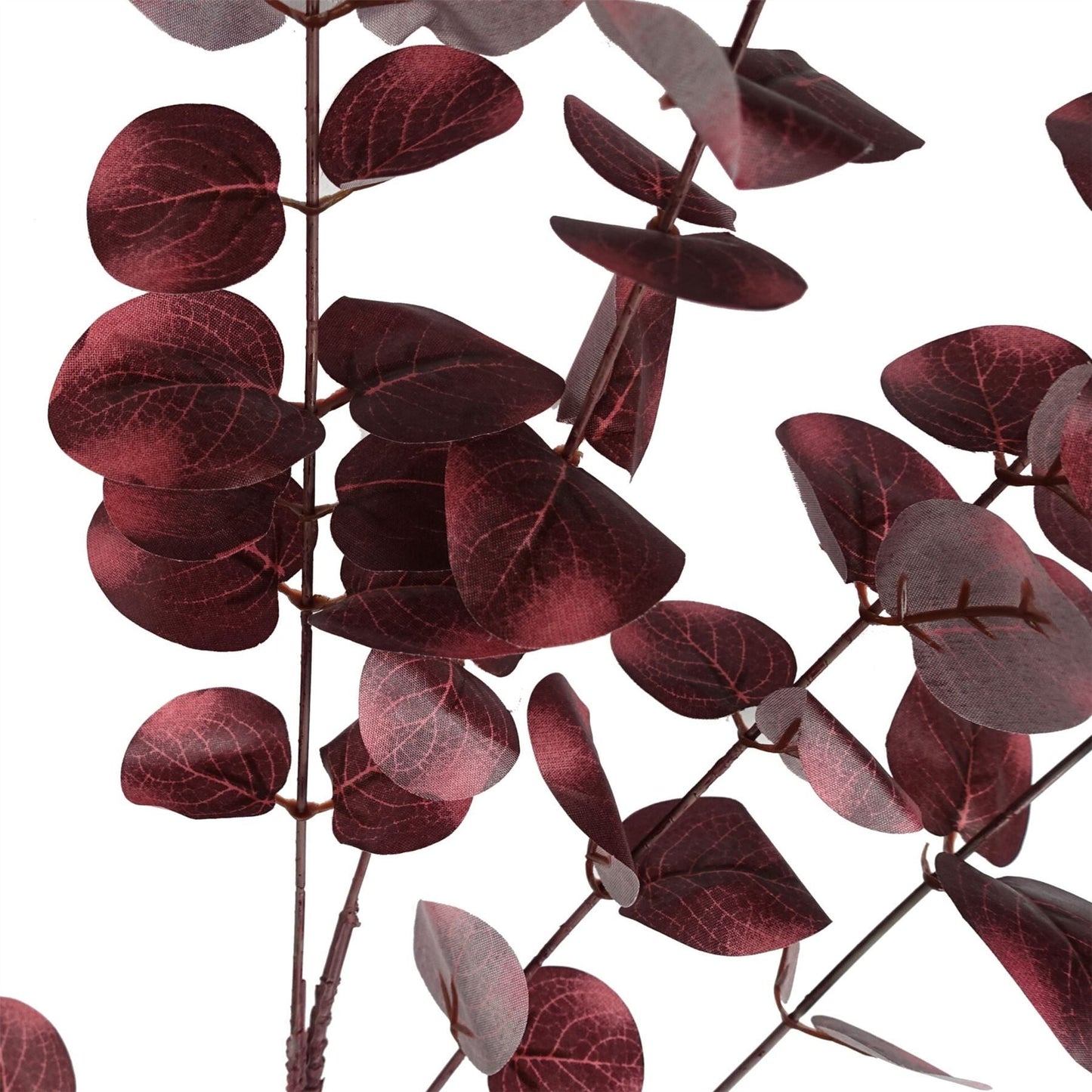 Stunning 100cm Burgundy Eucalyptus Stem - Perfect for Chic Floral Arrangements - plants - express.com
