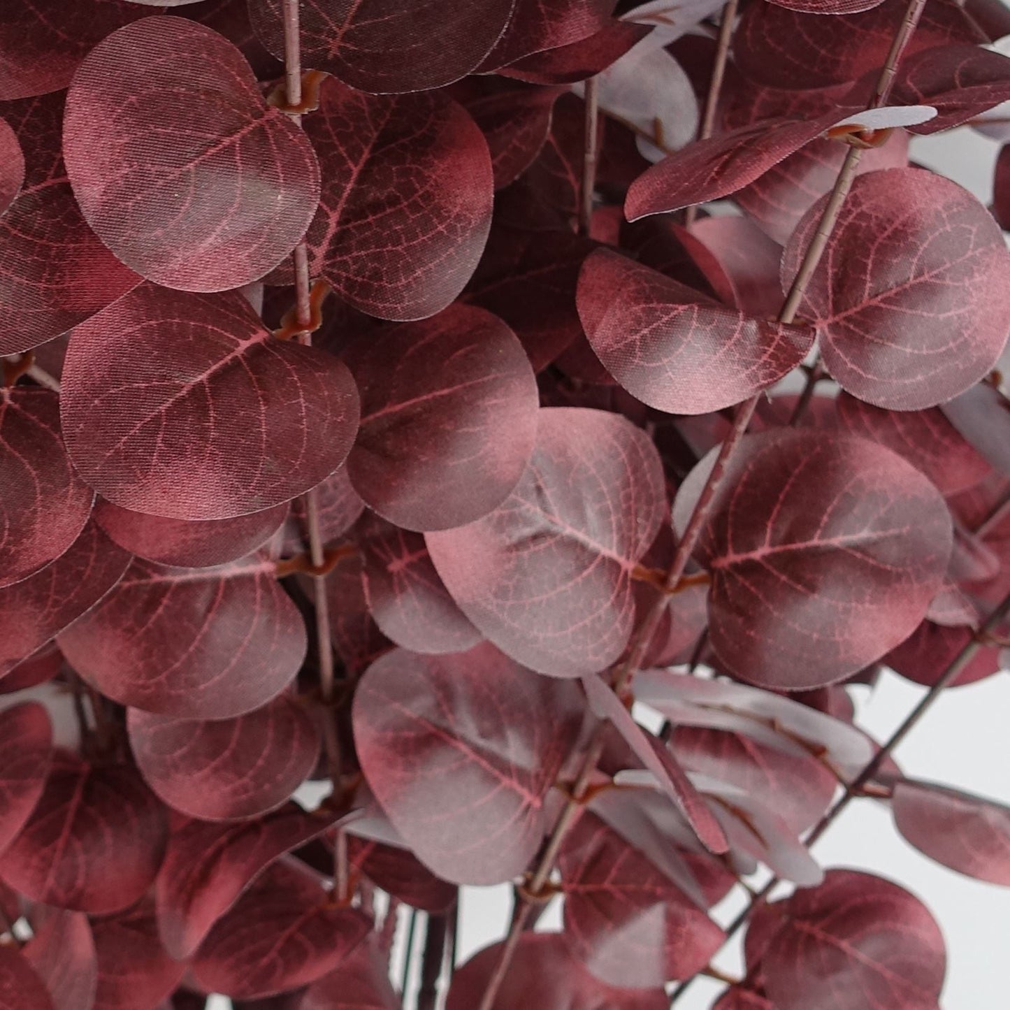 Stunning 100cm Burgundy Eucalyptus Stem - Perfect for Chic Floral Arrangements - plants - express.com