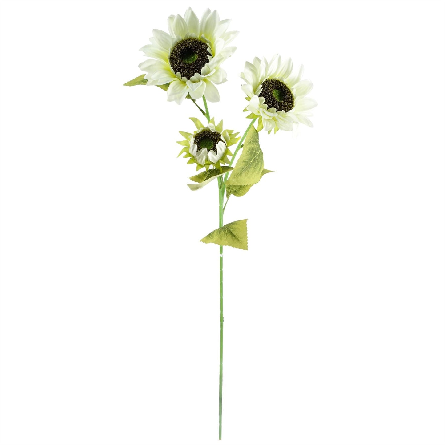 Stunning 100cm White Sunflower Floral Display with Elegant Glass Vase - plants - express.com