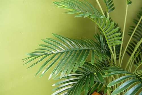 Stunning 110cm Artificial Areca Palm Tree in Elegant Black Pot - Indoor Oasis! - plants - express.com