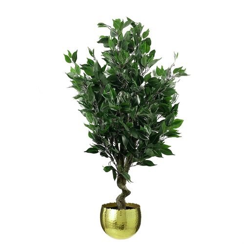 Stunning 110cm Ficus Tree with Stylish Gold Curve Planter - Ultimate Home Accent - plants - express.com