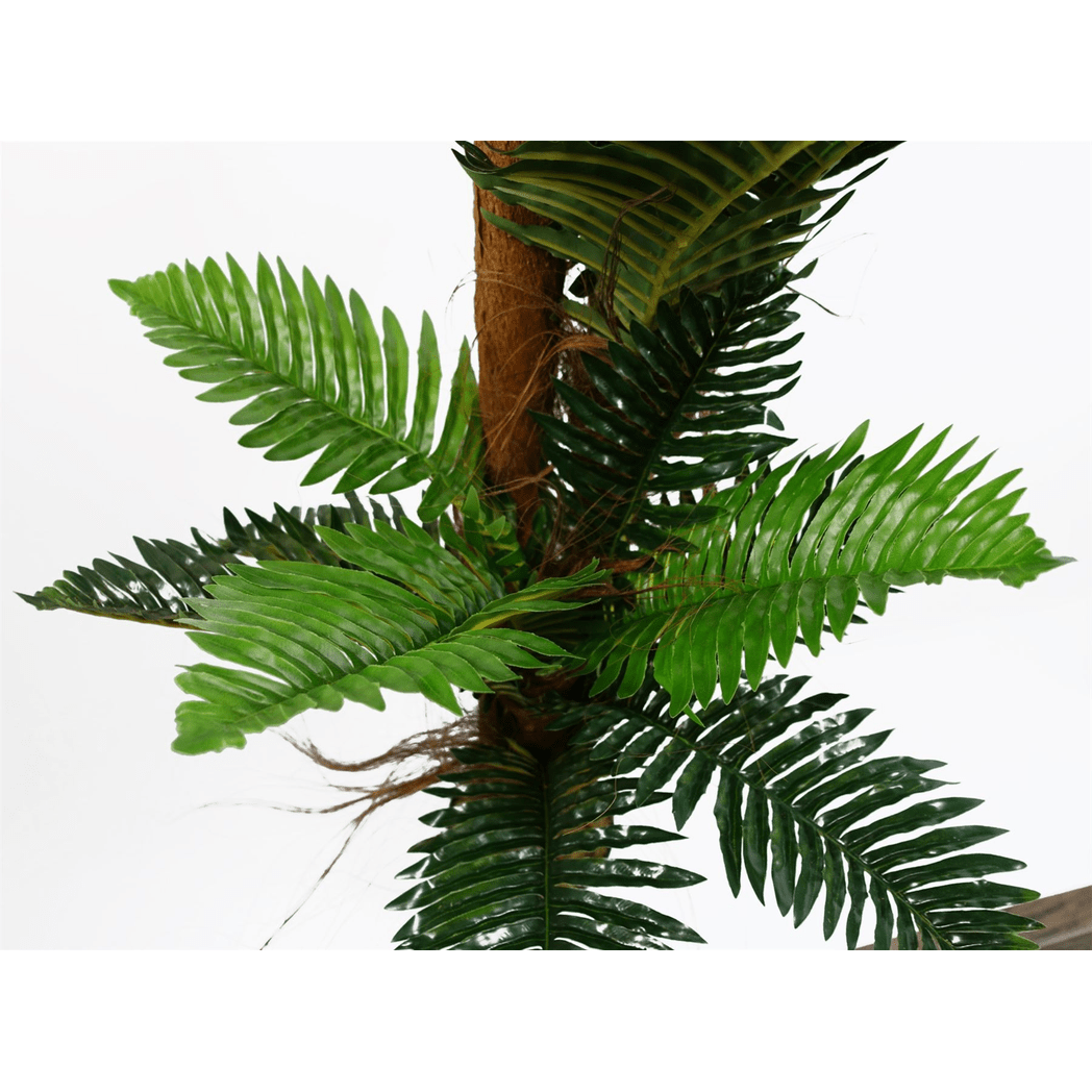 Stunning 150cm Artificial Palm Tree with Realistic Natural Trunk Design - plants - express.com
