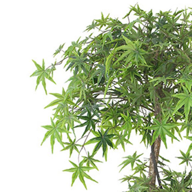 Stunning 150cm Faux Japanese Maple Tree - Perfect for Any Space! - plants - express.com