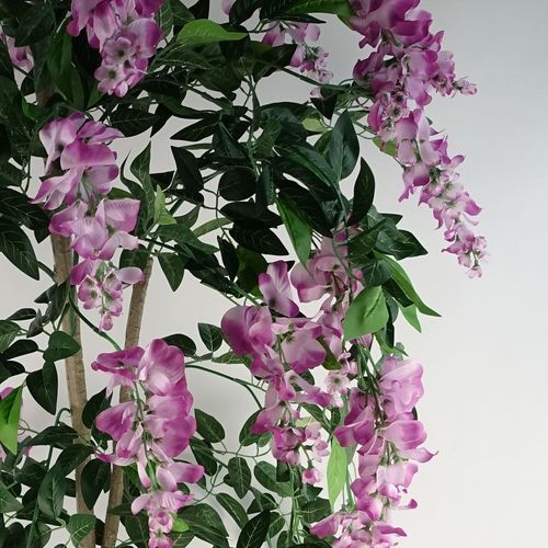 Stunning 150cm Light Pink Wisteria Tree - Lifelike Elegance for Any Space - plants - express.com